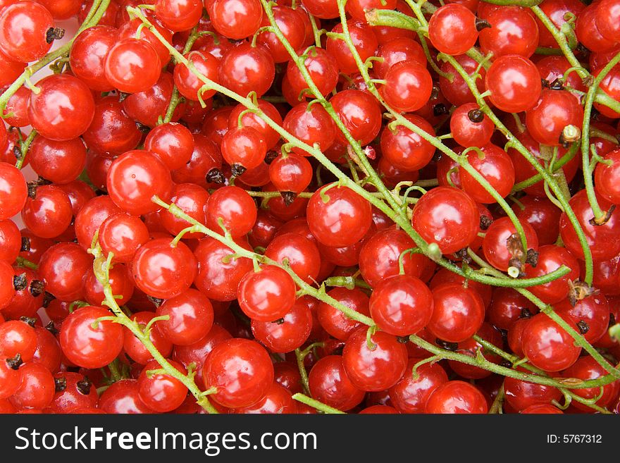 Red currants background (isolated on white)