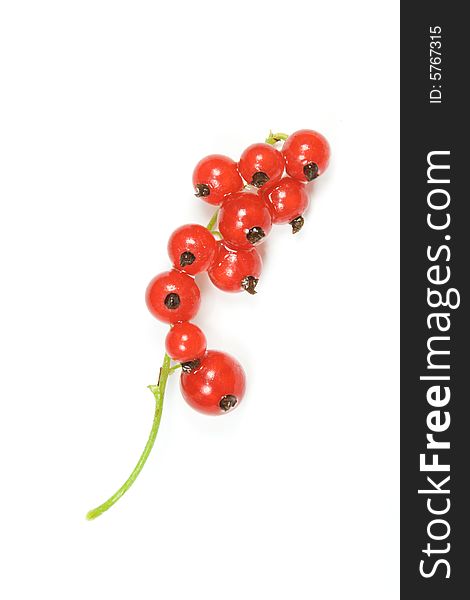 Twig with red currants isolated on white