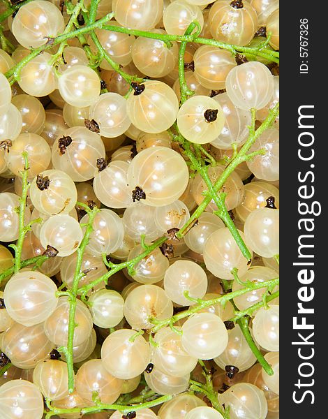 White currant background - close-up (ribes)