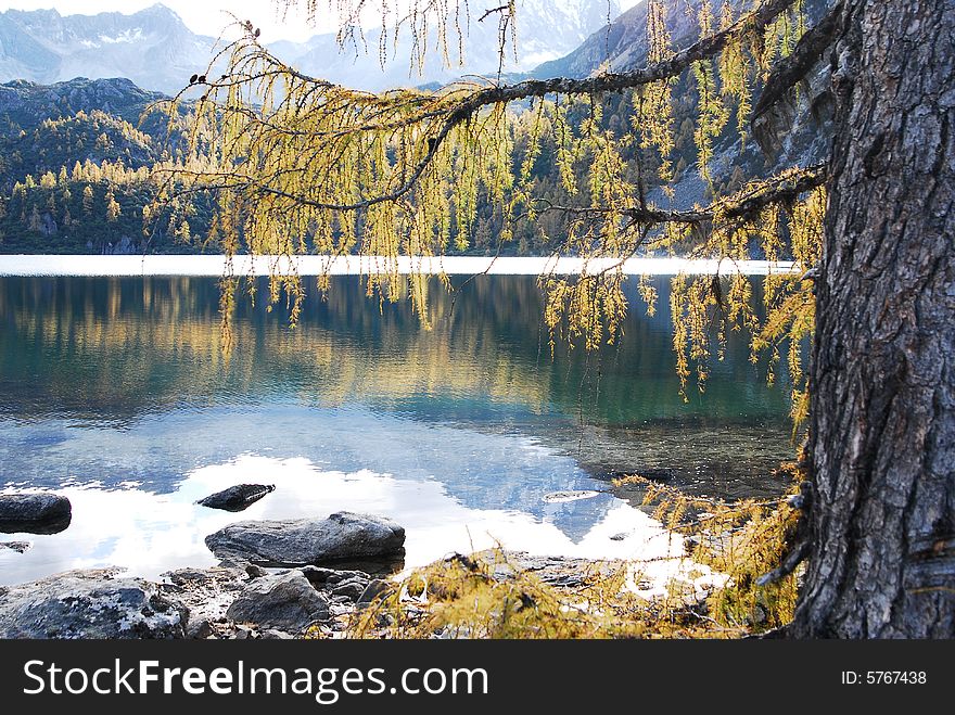 Lake on the high mountain. A tree beside the lake. Quiet and peaceful. Lake on the high mountain. A tree beside the lake. Quiet and peaceful.