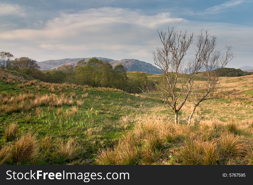 Beautiful spring landscape from Scotland