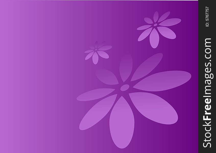 Violet background  with three flowers. Violet background  with three flowers