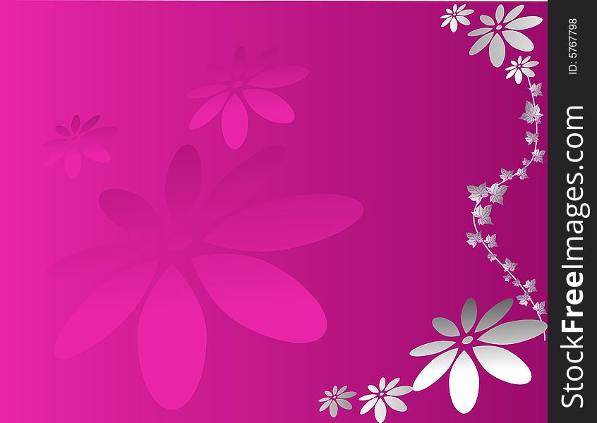 Pink background  with three flowers. Pink background  with three flowers