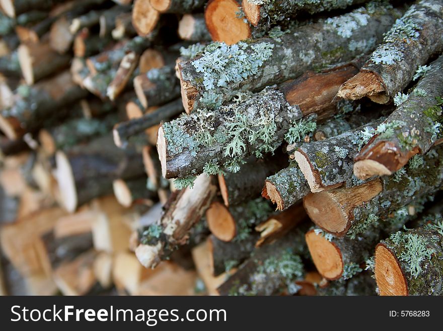 Background of dry wood, suitable for texture. Background of dry wood, suitable for texture