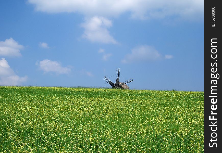 Windmill in the field with flower