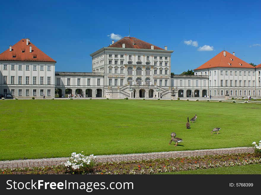 Gooses on the grass on the background of Nymphenburg palace. Gooses on the grass on the background of Nymphenburg palace