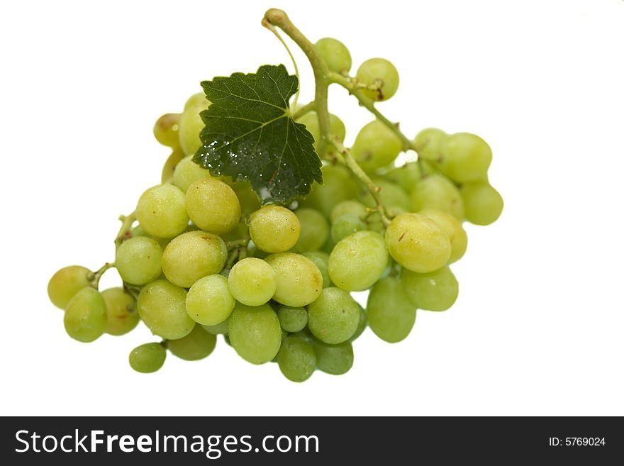 Green grape cluster with leaves on a white background