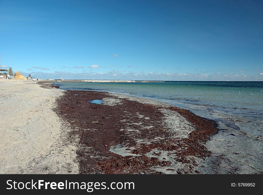 Deserted public beach after great storm