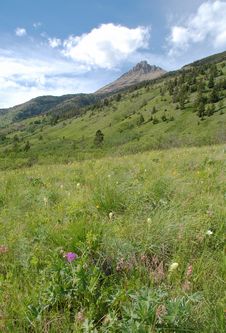 Mountains And Meadows Royalty Free Stock Photo Mountains And Meadows Royalty Free Stock Photo