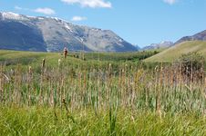 Mountains And Meadows Royalty Free Stock Photography Mountains And Meadows Royalty Free Stock Photography