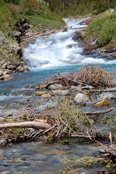 Tree Branches And Creek Royalty Free Stock Image Tree Branches And Creek Royalty Free Stock Image