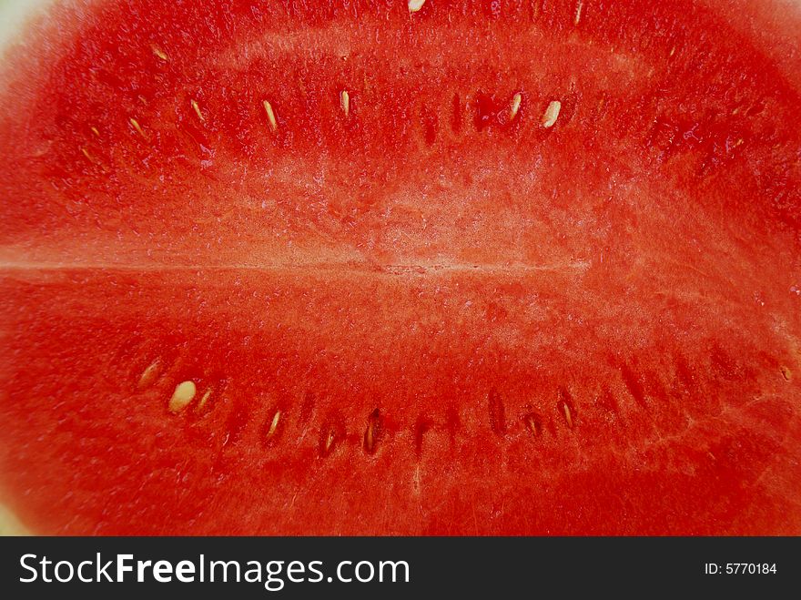 Watermelon (Citrullus lanatus (Thunb.) Matsum & Nakai, family Cucurbitaceae) refers to both fruit and plant of a vine-like (climber and trailer) herb originally from southern Africa and one of the most common types of melon. This flowering plant produces a special type of fruit known by botanists as a pepo, which has a thick rind (exocarp) and fleshy center (mesocarp and endocarp); pepos are derived from an inferior ovary and are characteristic of the Cucurbitaceae. The watermelon fruit, loosely considered a type of melon (although not in the genus Cucumis), has a smooth exterior rind (green and yellow) and a juicy, sweet, usually pink, red, or yellow, but sometimes orange, interior flesh. The flesh consists of highly developed placental tissue within the fruit.There are more than fifty varieties of watermelon ranging in size from less than a pound, to more than two hundred pounds with flesh that is red, orange, yellow, or white.