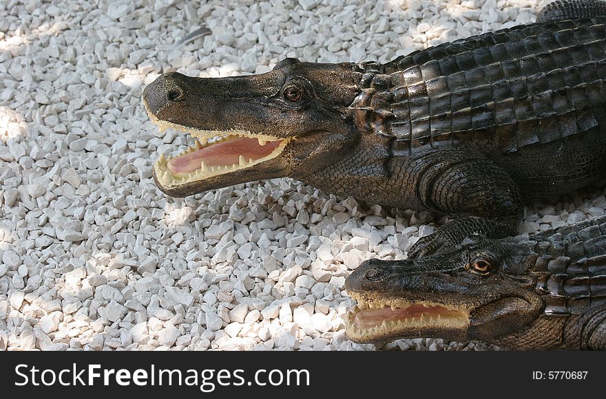 Colourful ceramics on the French Riviera, crocodiles