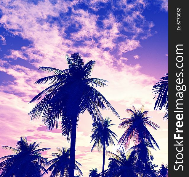 Beautiful sunset and palms. 3d image