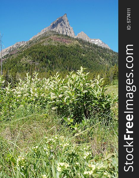 Mountains, forests and meadows in waterton lakes national park, alberta, canada. Mountains, forests and meadows in waterton lakes national park, alberta, canada