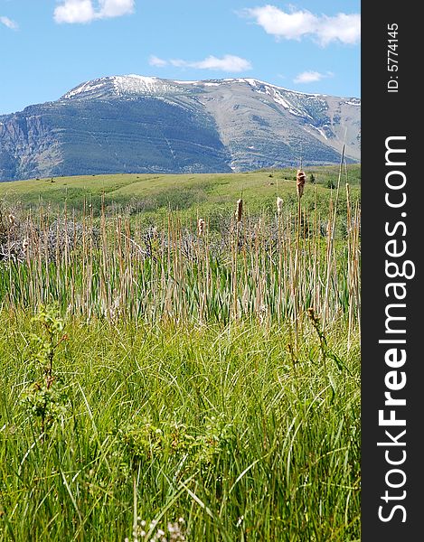 Mountains and hillside grassland in waterton lakes national park, alberta, canada. Mountains and hillside grassland in waterton lakes national park, alberta, canada