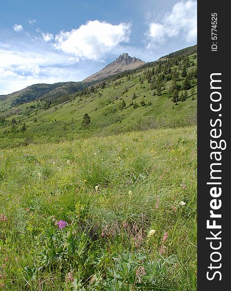 Mountains and hillside grassland in waterton lakes national park, alberta, canada. Mountains and hillside grassland in waterton lakes national park, alberta, canada