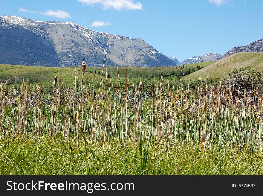 Mountains and hillside grassland in waterton lakes national park, alberta, canada. Mountains and hillside grassland in waterton lakes national park, alberta, canada