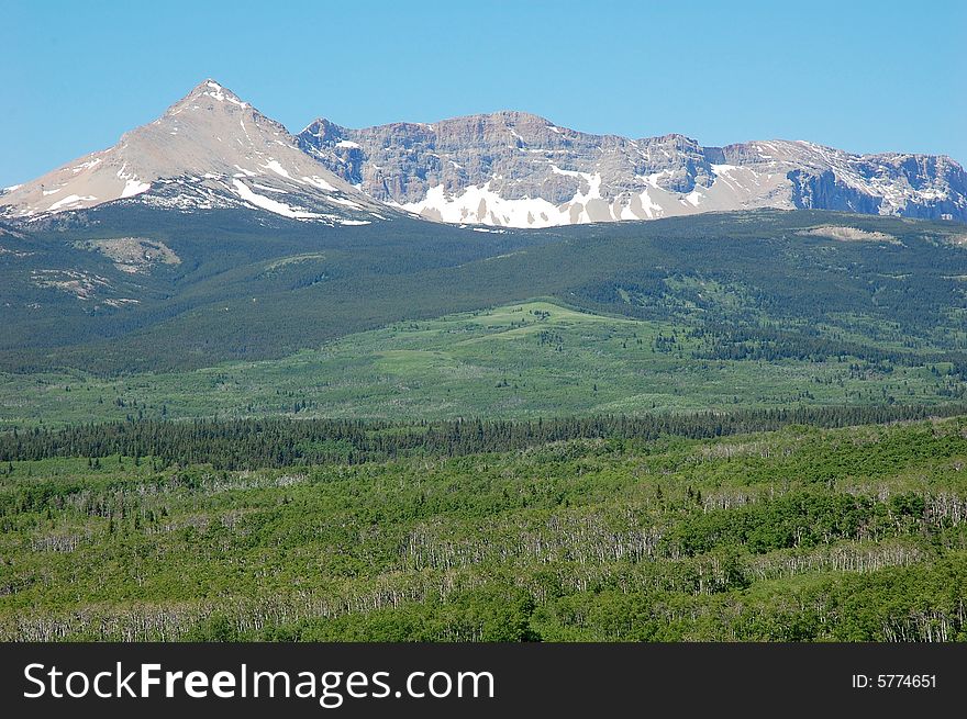 Rocky mountain and hillside forests in glacier national park, montana, united states. Rocky mountain and hillside forests in glacier national park, montana, united states
