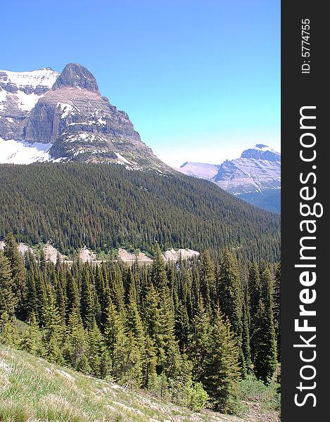 Rocky mountain and hillside forests in glacier national park, montana, united states. Rocky mountain and hillside forests in glacier national park, montana, united states