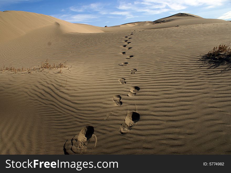 A human trail in the sahara desert. A human trail in the sahara desert