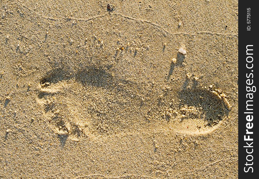 A footprint in the sands seen in the early morning light