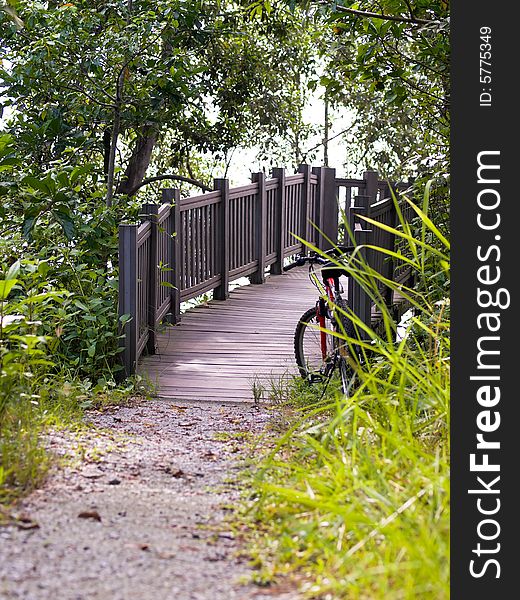 Bicycle parked at a abridge in a wetlands park. Bicycle parked at a abridge in a wetlands park