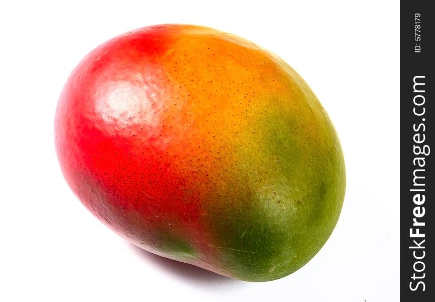 Mango fruit isolated