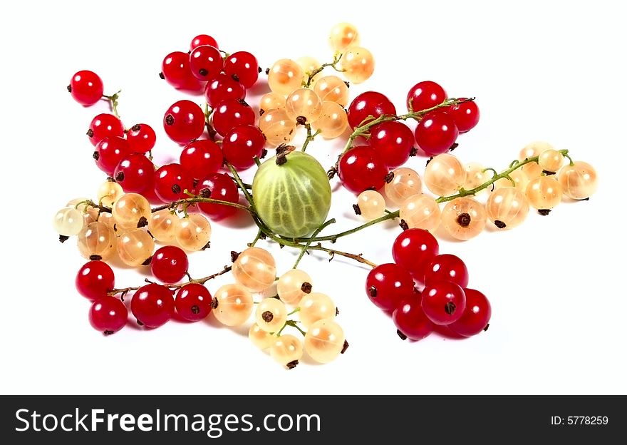 Fresh Red, White Currants And Gooseberry