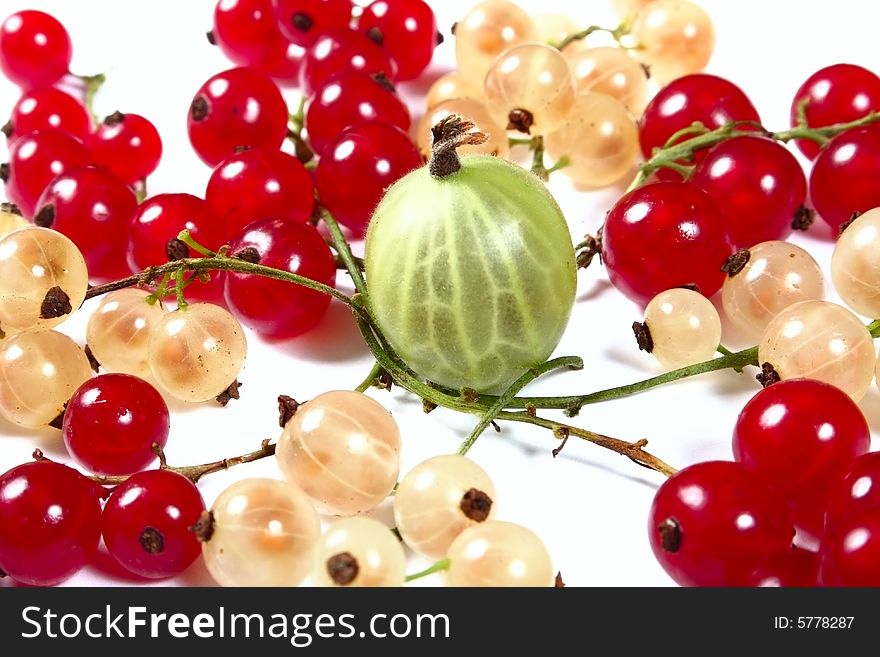 Fresh red, white currants and gooseberry on white