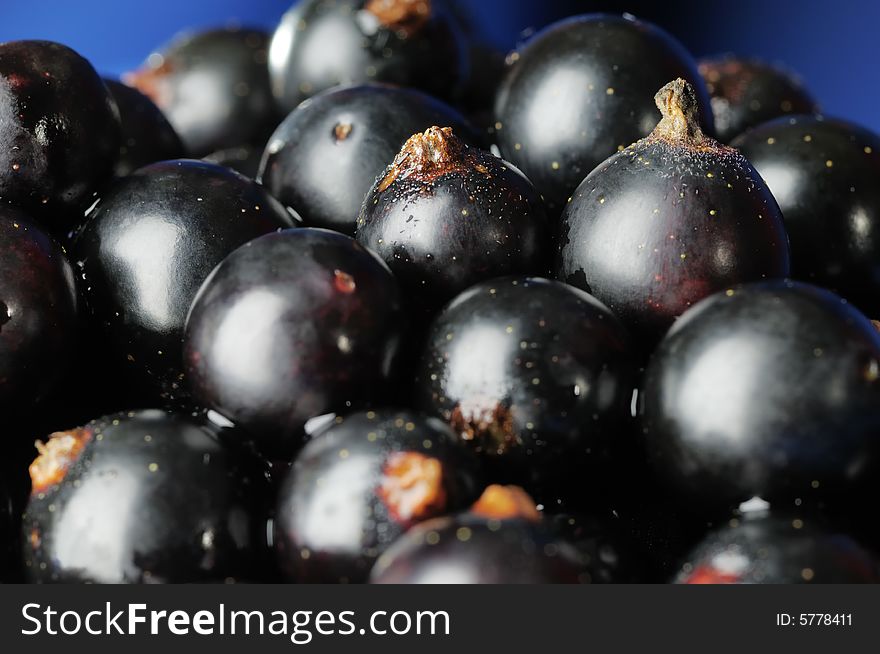 Black currants on the blue background. Narrow depth of field. Black currants on the blue background. Narrow depth of field.