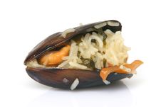 Mussel With Rice Closeup Stock Photography Mussel With Rice Closeup Stock Photography