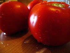 Fresh Tomatoes Royalty Free Stock Image Fresh Tomatoes Royalty Free Stock Image