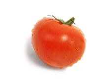 Isolated Red Tomato With Water Drops Stock Image