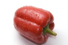 Wet Red Bell Pepper Stock Image