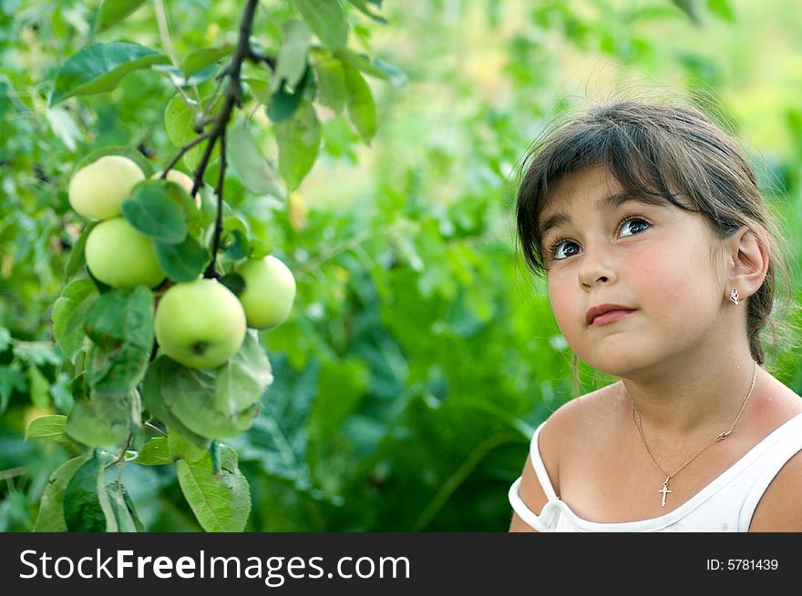 Shot of girl and garden apples. Shot of girl and garden apples