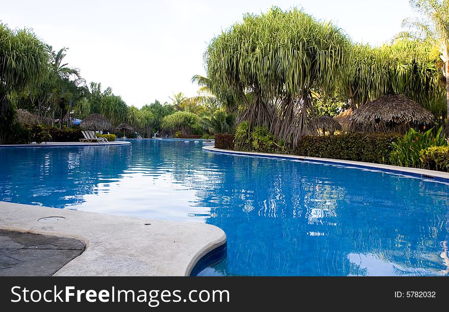 A tropical swimming pool with deep blue water. A tropical swimming pool with deep blue water