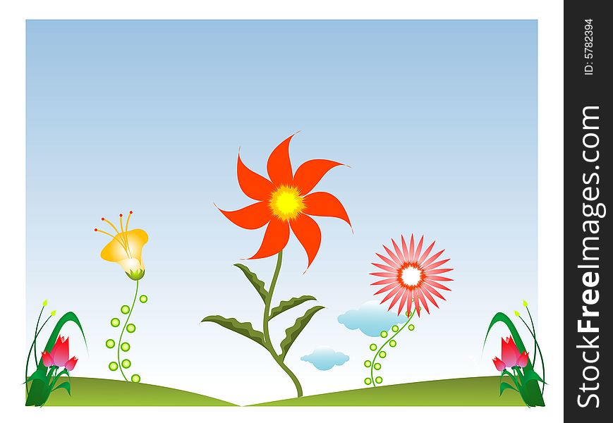 Flower plants on isolated background. Flower plants on isolated background