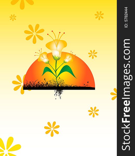 Flower on rising sun background. Flower on rising sun background