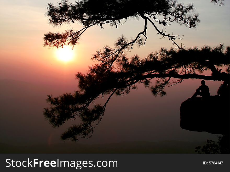 The tip of cliff have the big tree and people they seat there for looking to the sunrise