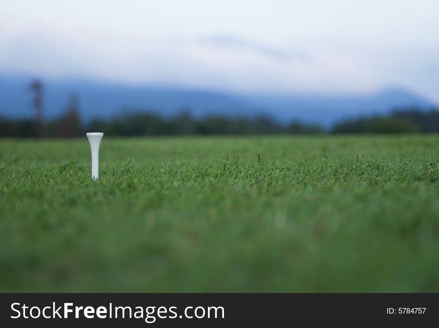 An empty tee on a green. Shallow depth of field, tee in focus.