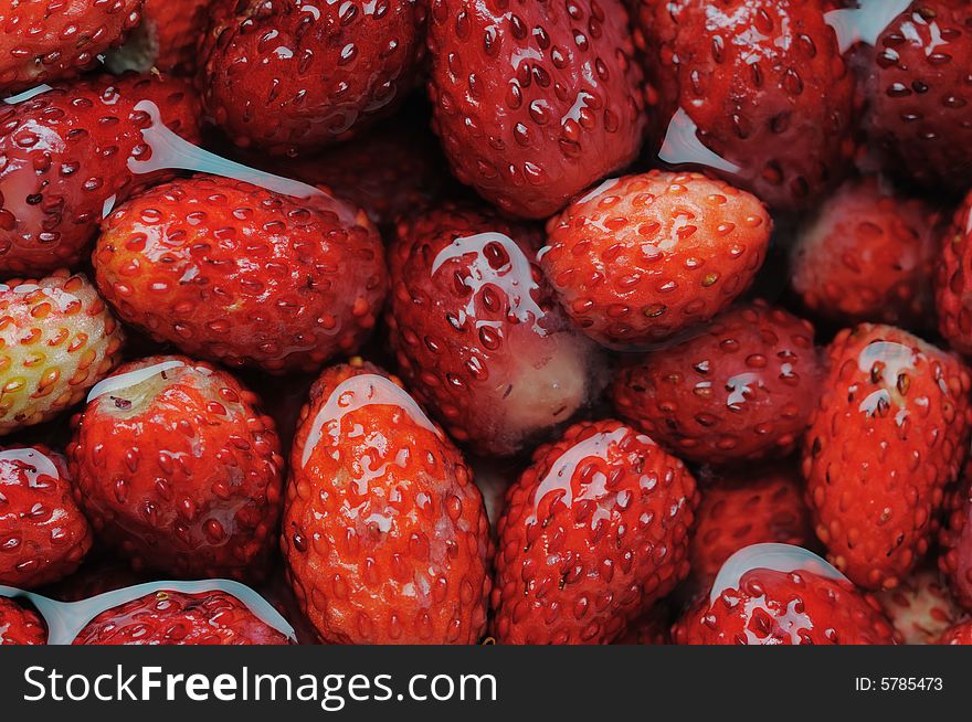 Wild strawberries. Narrow depth of field.