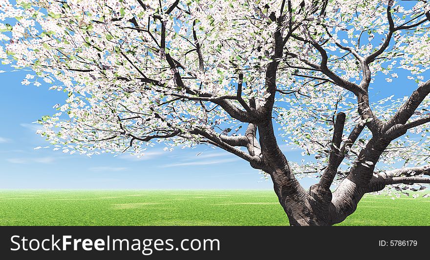 Beautiful landscape with blossoming tree