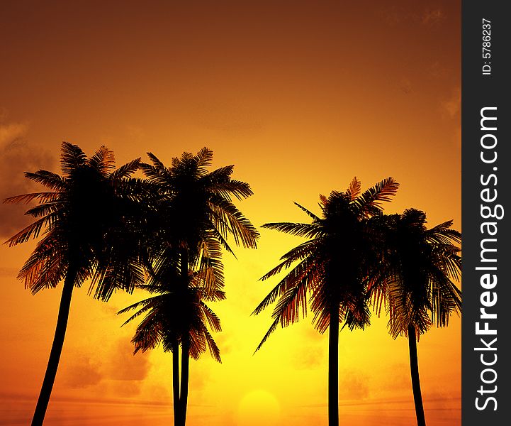 Beautiful sunset with palms. 3d image