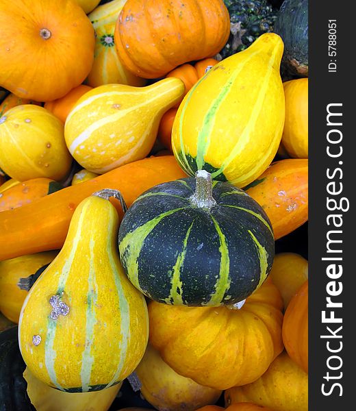 Background made of various pumpkins