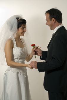 Newly Weds - Vertical Royalty Free Stock Image Newly Weds - Vertical Royalty Free Stock Image