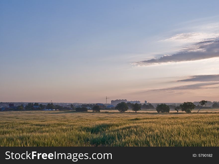 Early morning near Moscow. Golden field of an oats. It's perfectly suite for writing text in the left part of it. Early morning near Moscow. Golden field of an oats. It's perfectly suite for writing text in the left part of it.