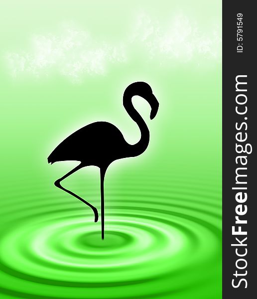 Flamingo bird in the water ripple. Flamingo bird in the water ripple
