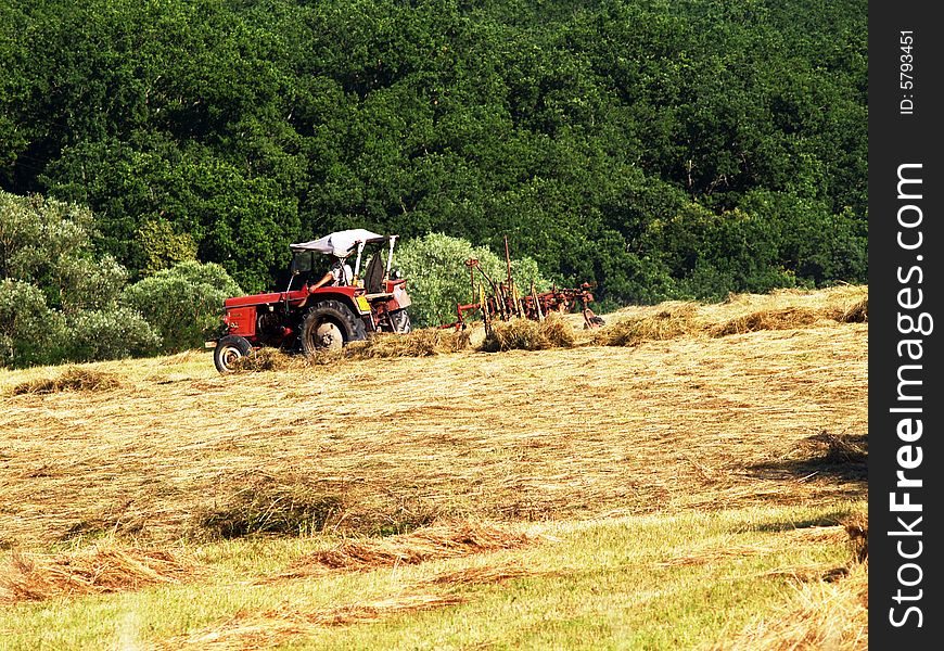 Summer harvest with special agricultural machine