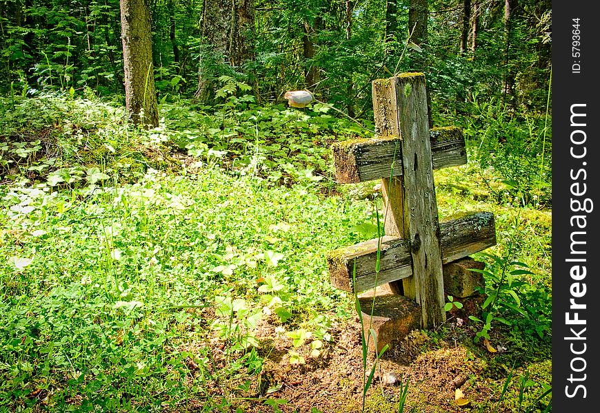 Abandoned cemetery in the woods. Abandoned cemetery in the woods